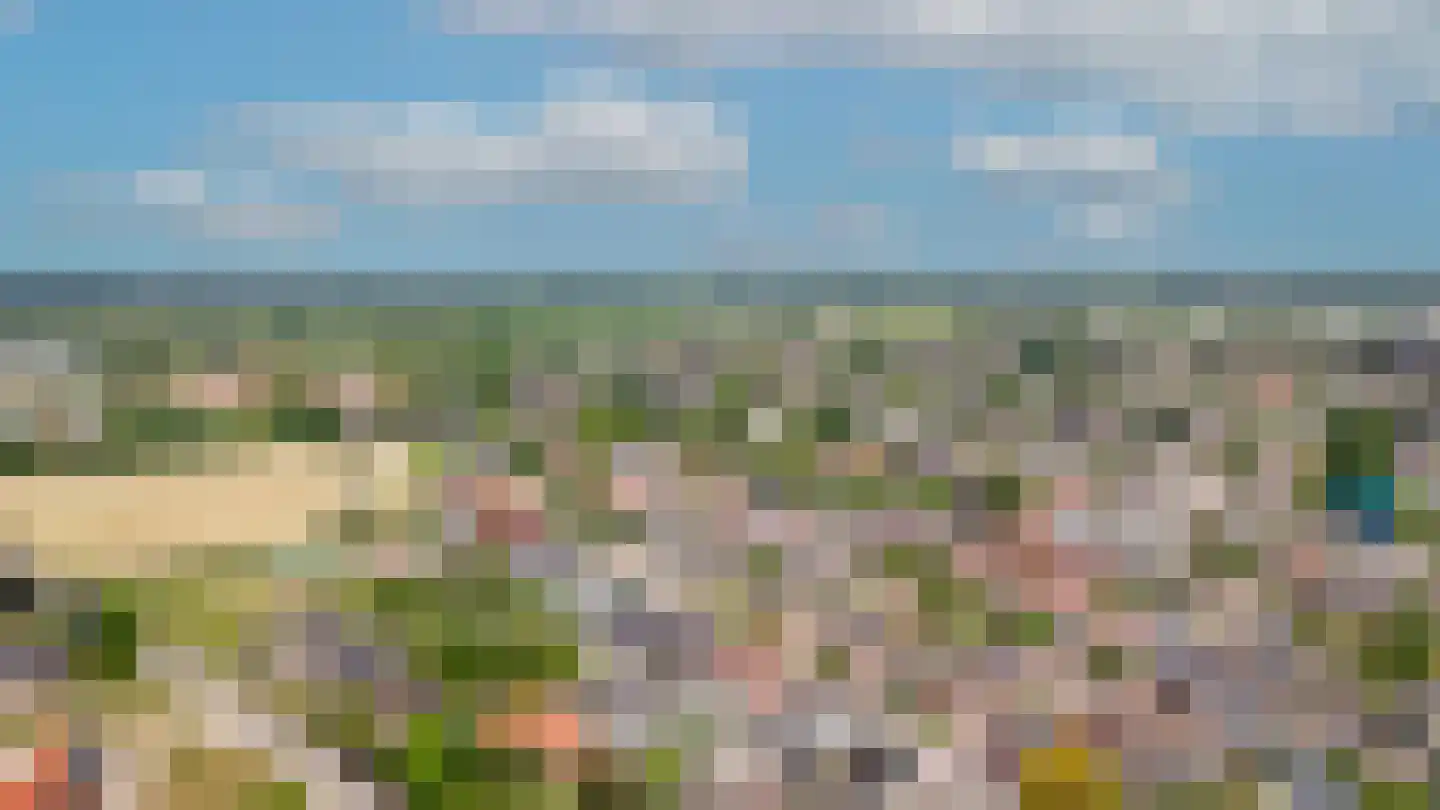 Uithovensestraat 3 Hedel thumbnail 6