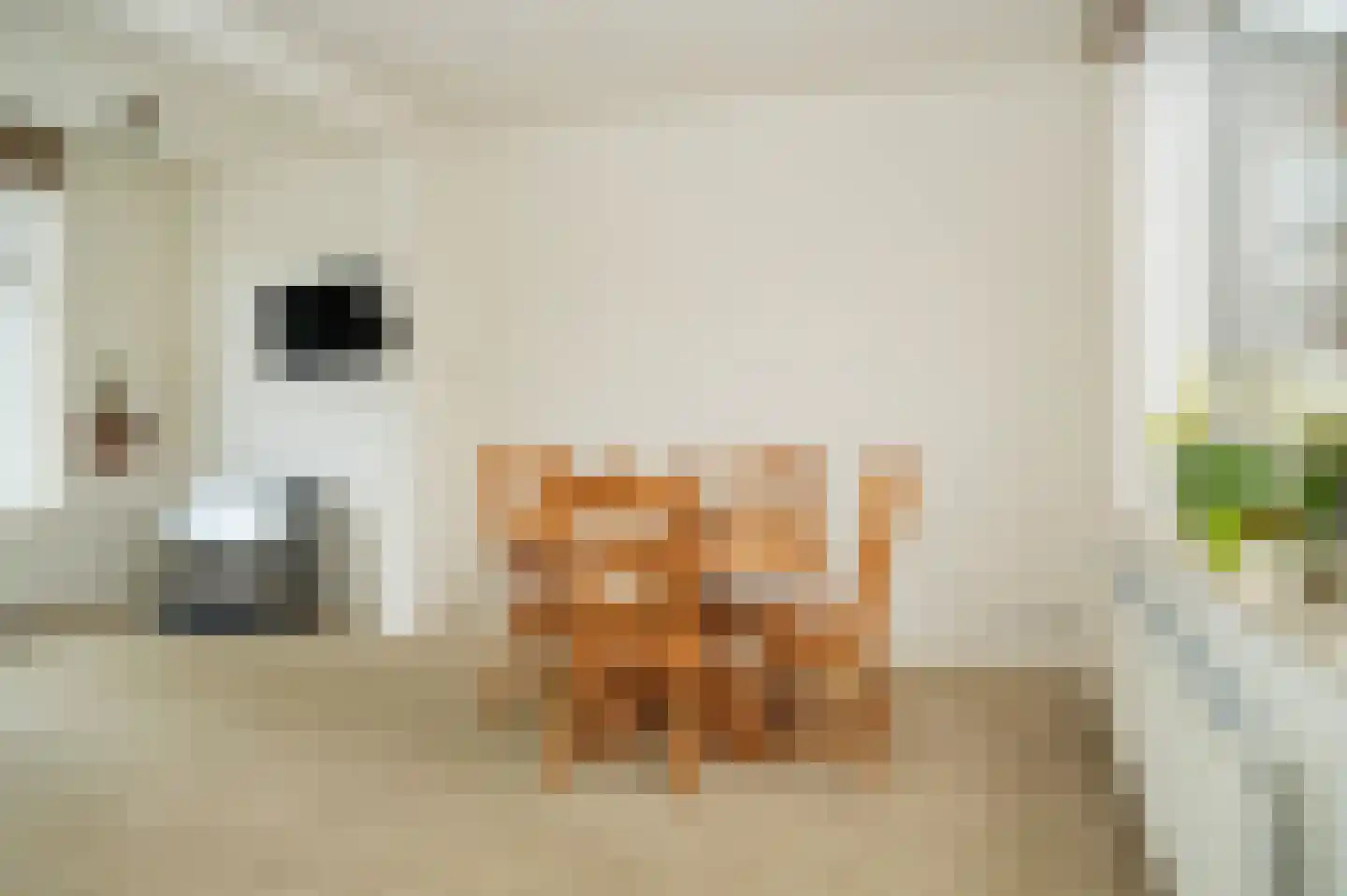 Uithovensestraat 3 Hedel thumbnail 8