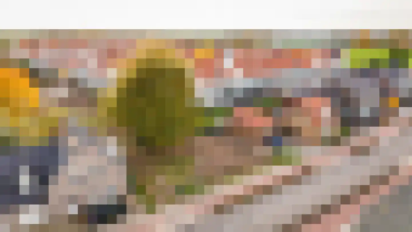 Uithovensestraat Hedel thumbnail 7