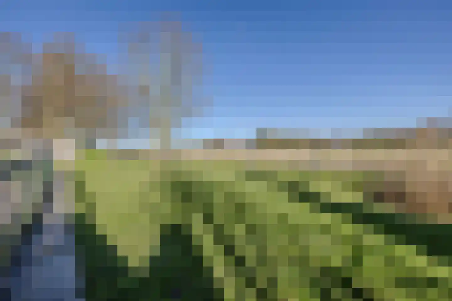 Uithuizerweg 17 Uithuizermeeden thumbnail 100