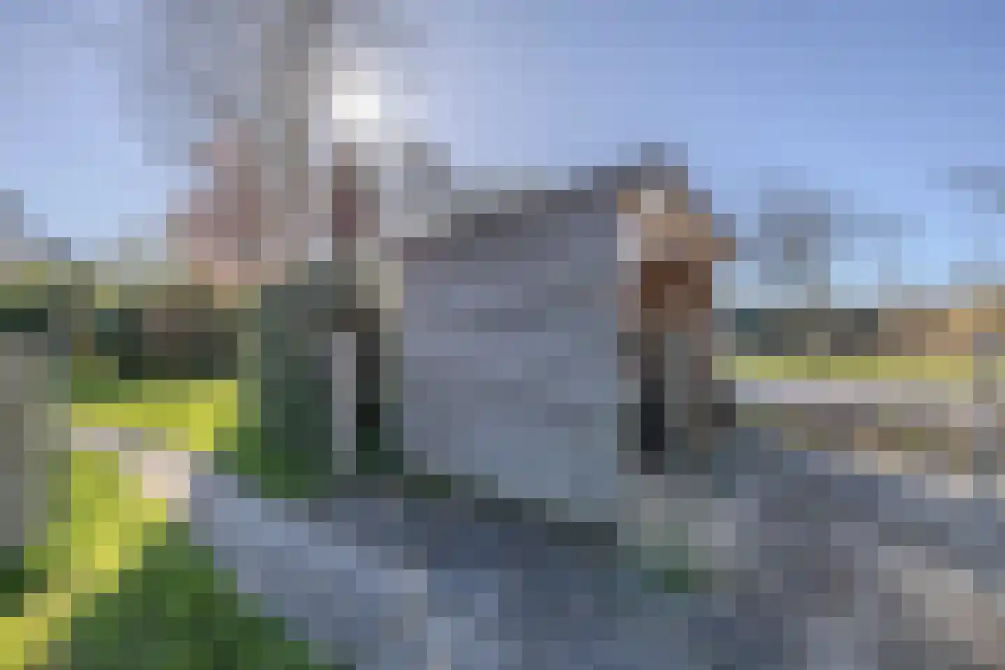 Uithuizerweg 17 Uithuizermeeden thumbnail 101