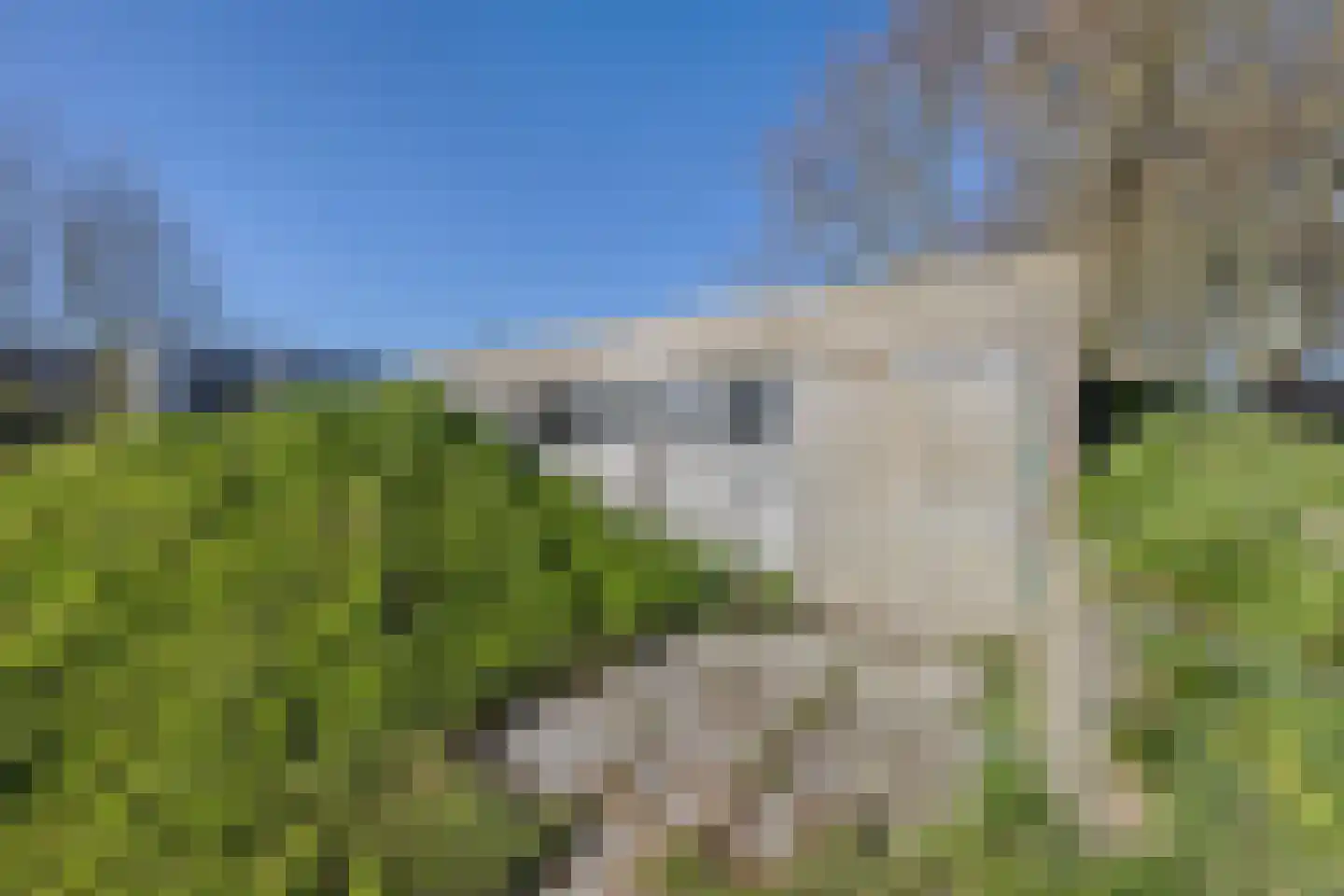 Uithuizerweg 17 Uithuizermeeden thumbnail 102