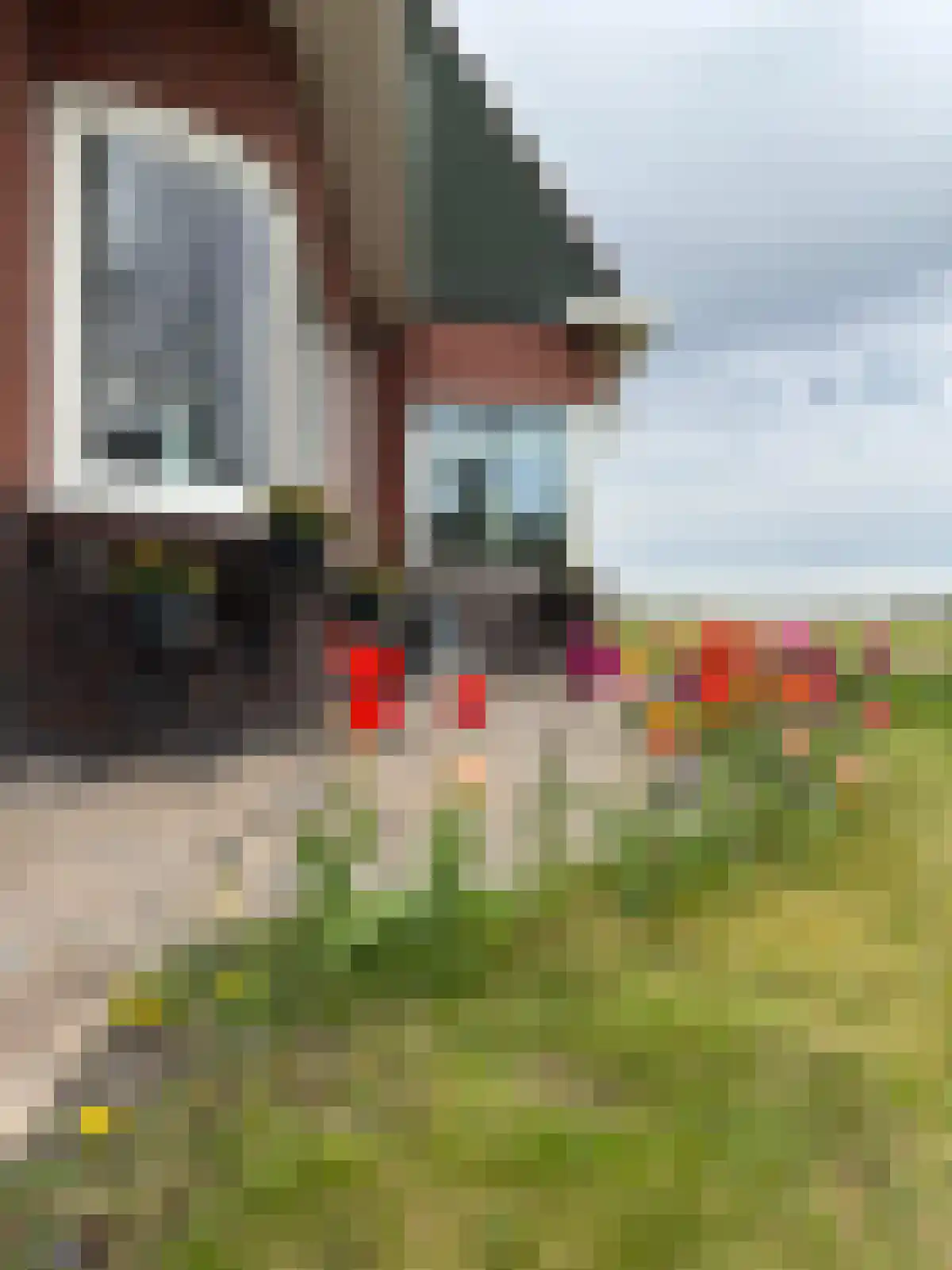 Uithuizerweg 17 Uithuizermeeden thumbnail 111