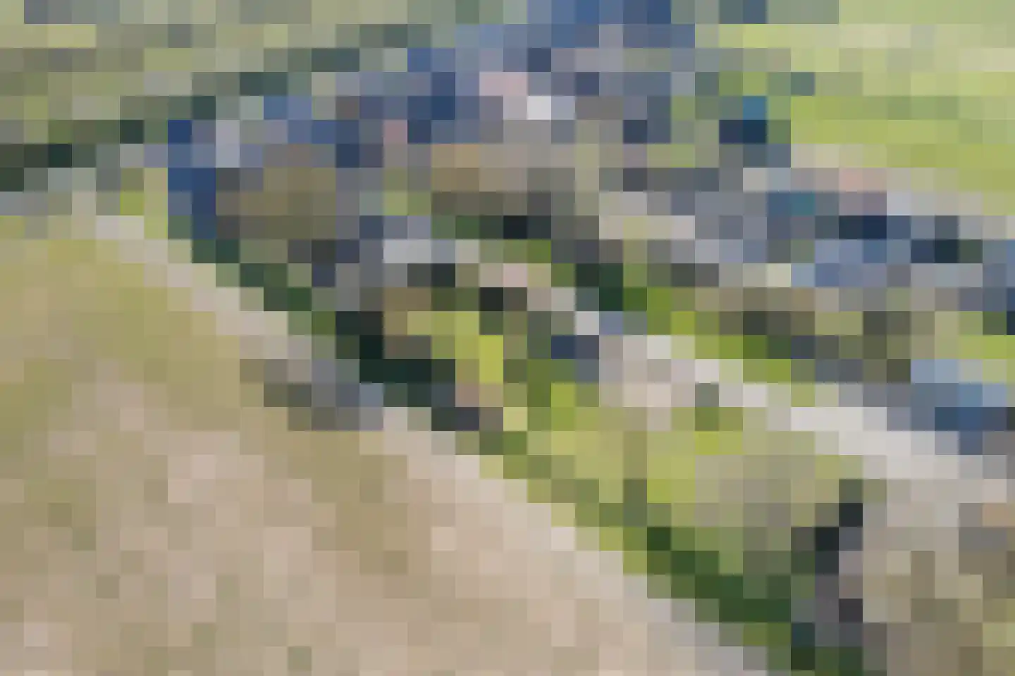 Uithuizerweg 17 Uithuizermeeden thumbnail 112