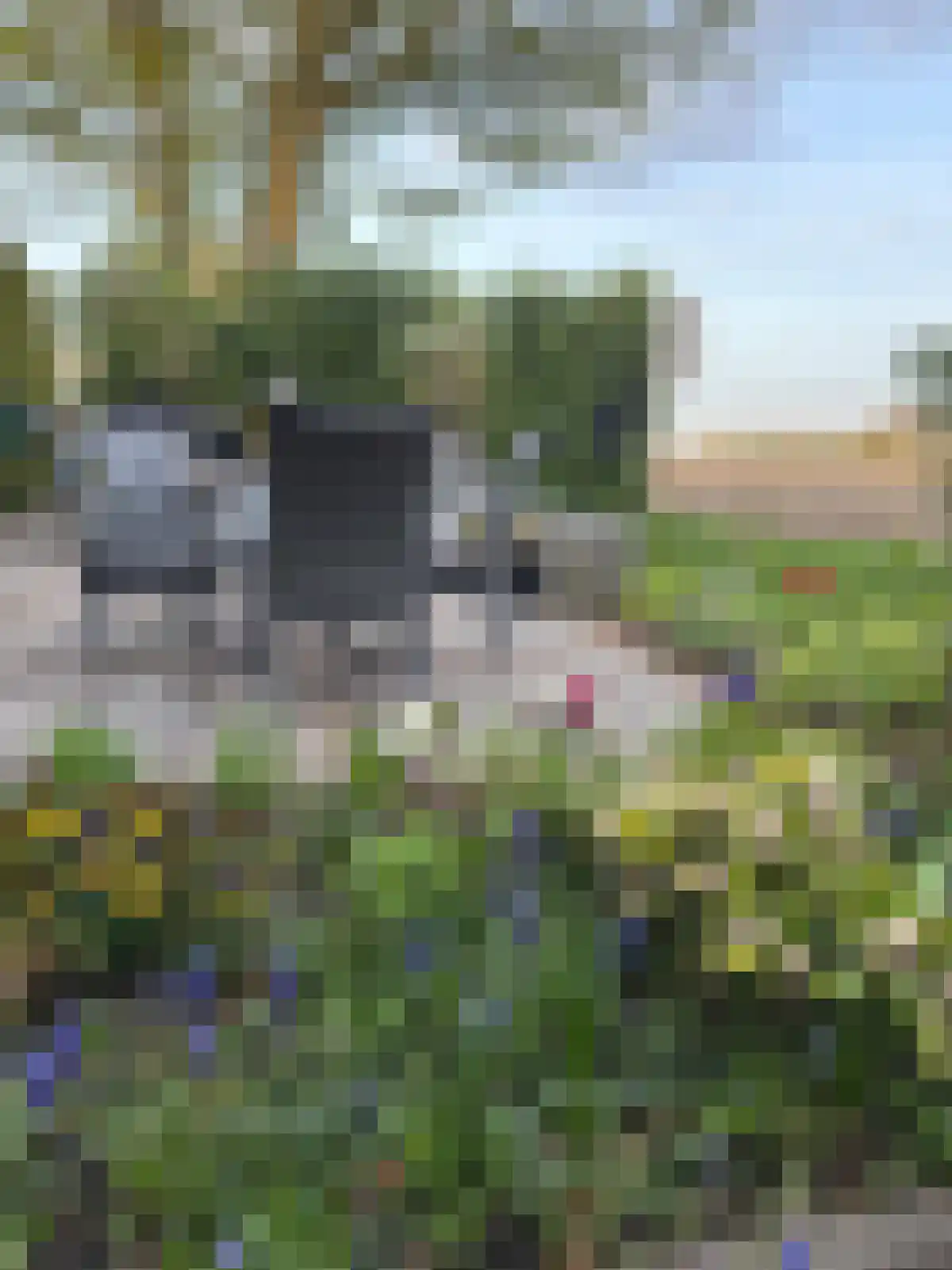 Uithuizerweg 17 Uithuizermeeden thumbnail 114