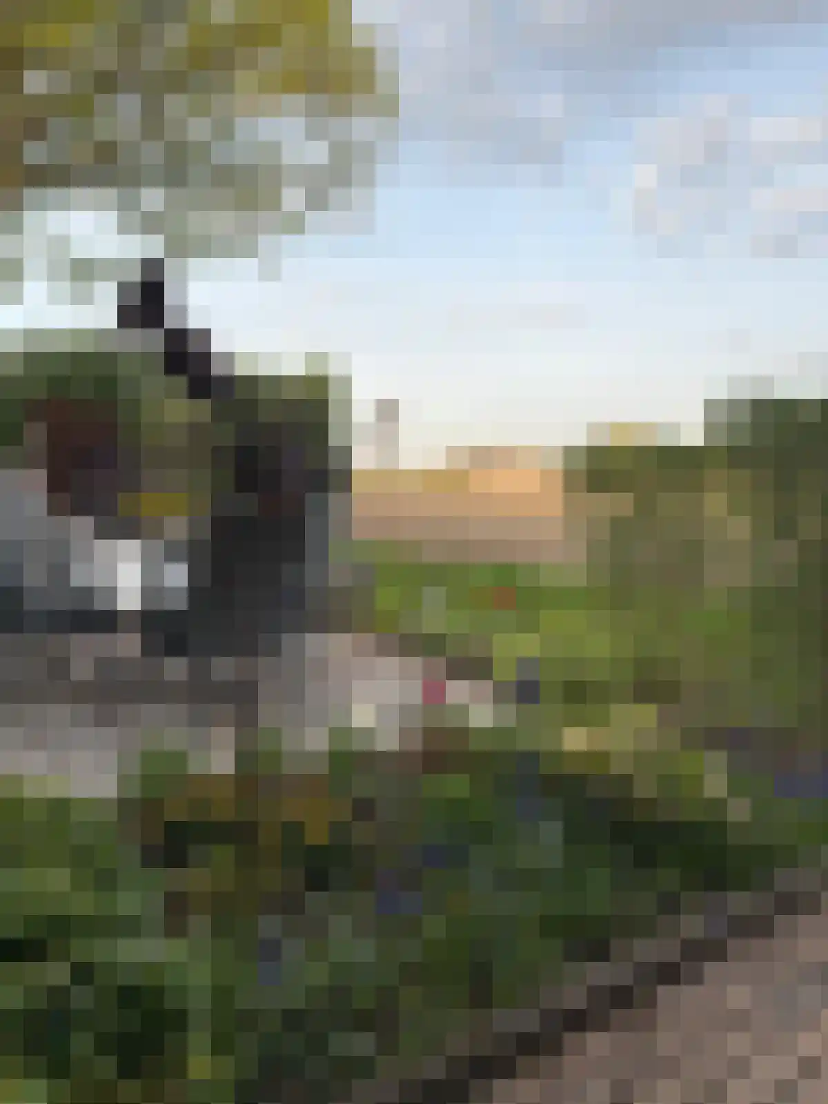Uithuizerweg 17 Uithuizermeeden thumbnail 115
