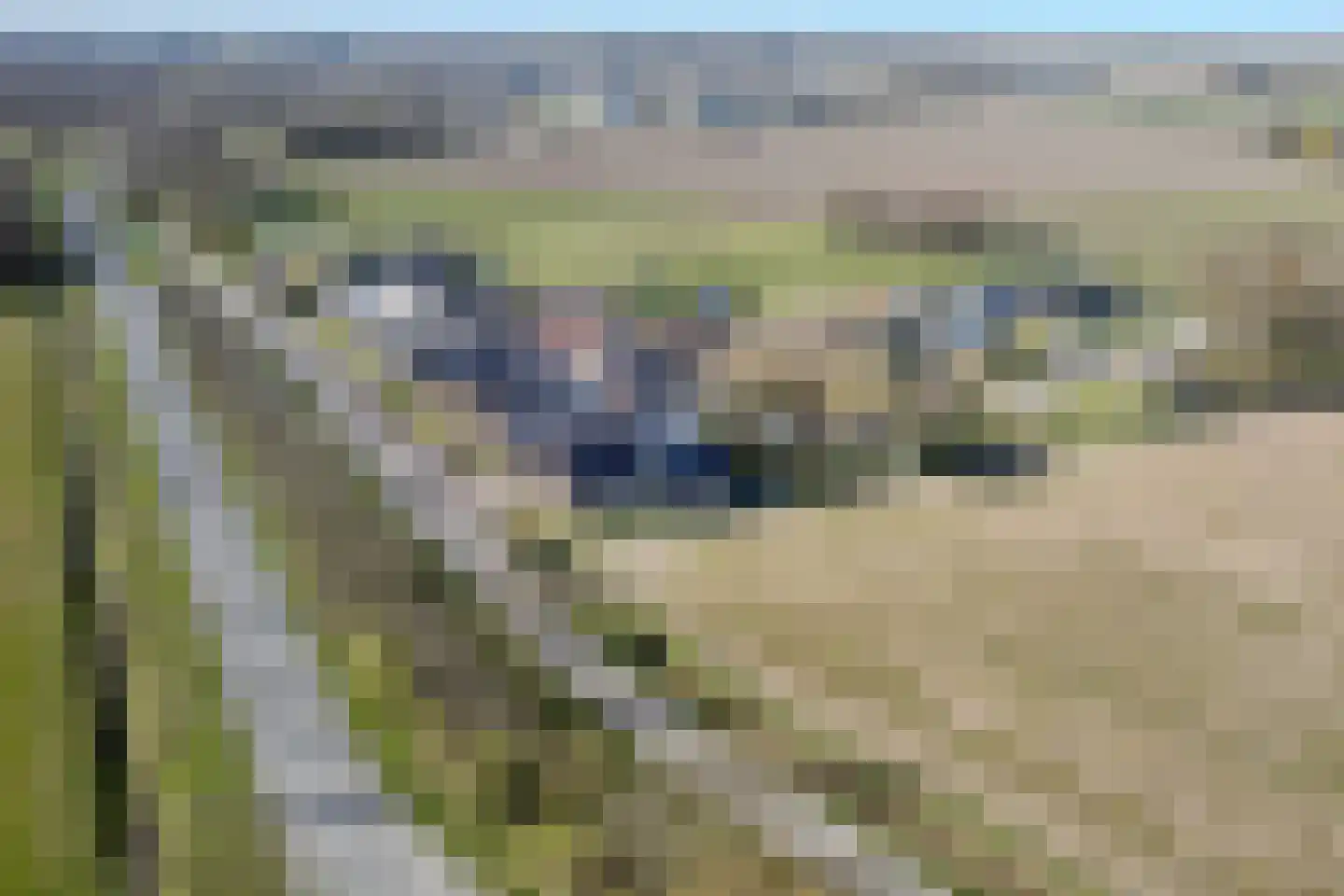 Uithuizerweg 17 Uithuizermeeden thumbnail 118