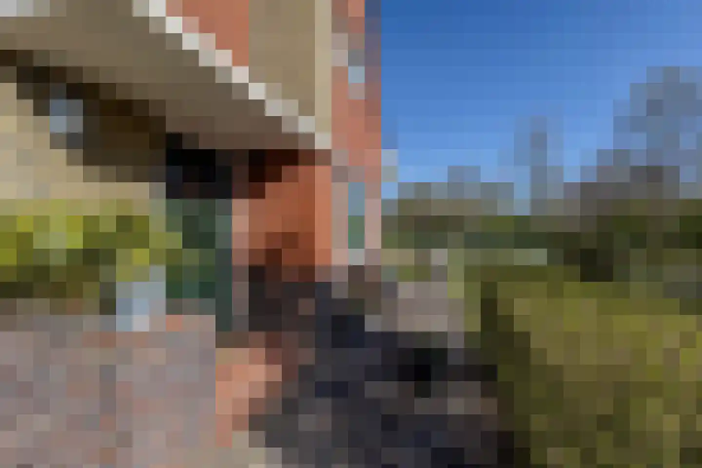 Uithuizerweg 17 Uithuizermeeden thumbnail 12