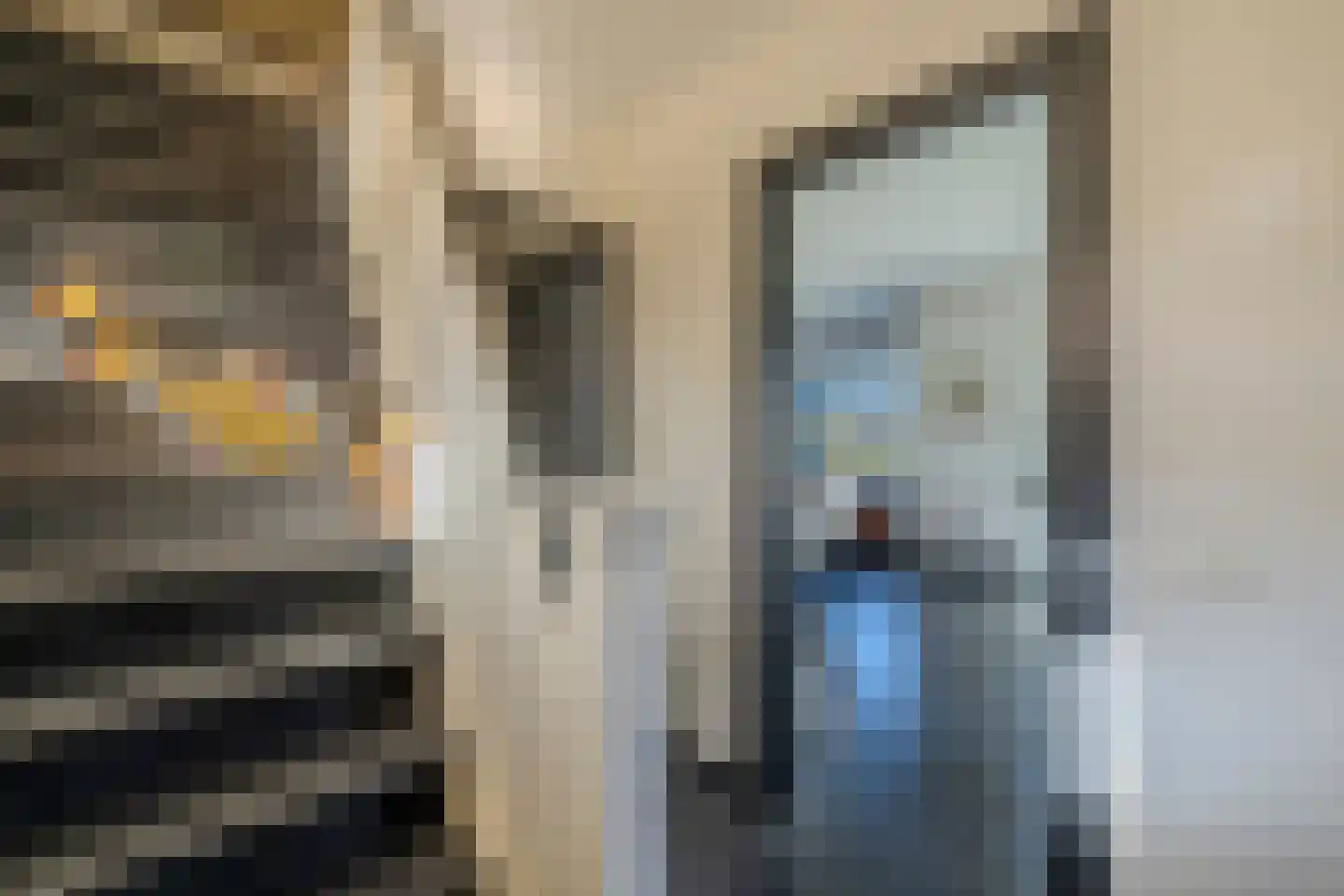 Uithuizerweg 17 Uithuizermeeden thumbnail 15