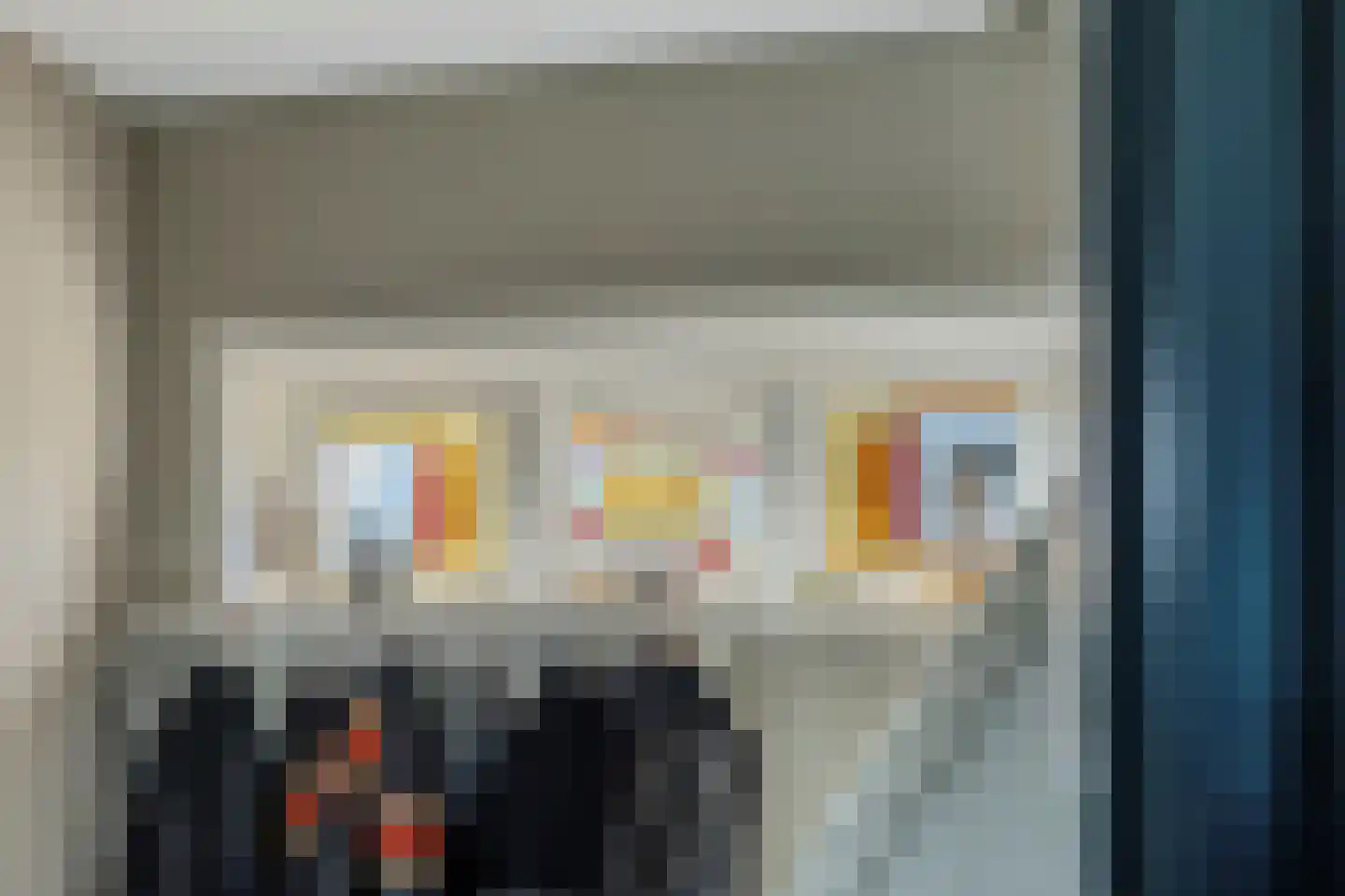 Uithuizerweg 17 Uithuizermeeden thumbnail 16