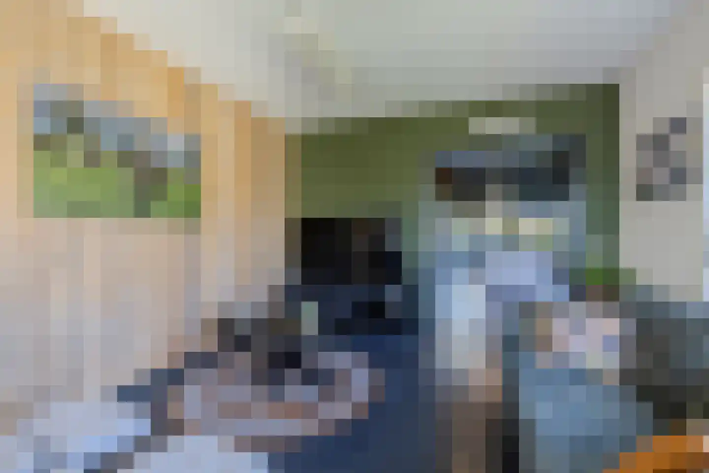 Uithuizerweg 17 Uithuizermeeden thumbnail 17