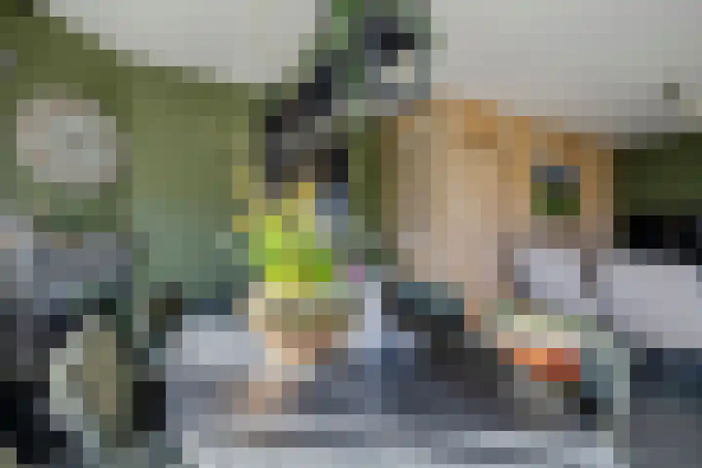 Uithuizerweg 17 Uithuizermeeden thumbnail 22