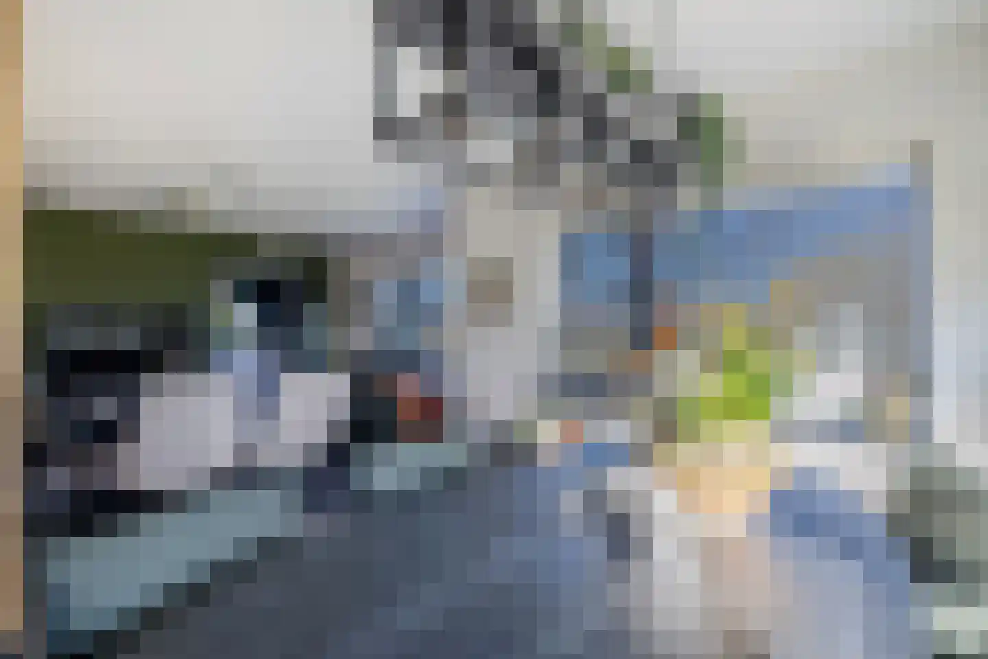 Uithuizerweg 17 Uithuizermeeden thumbnail 23