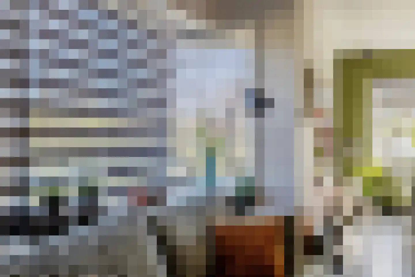 Uithuizerweg 17 Uithuizermeeden thumbnail 24