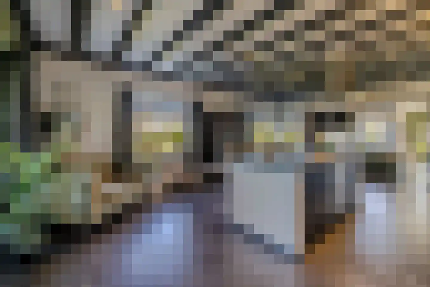 Uithuizerweg 17 Uithuizermeeden thumbnail 31