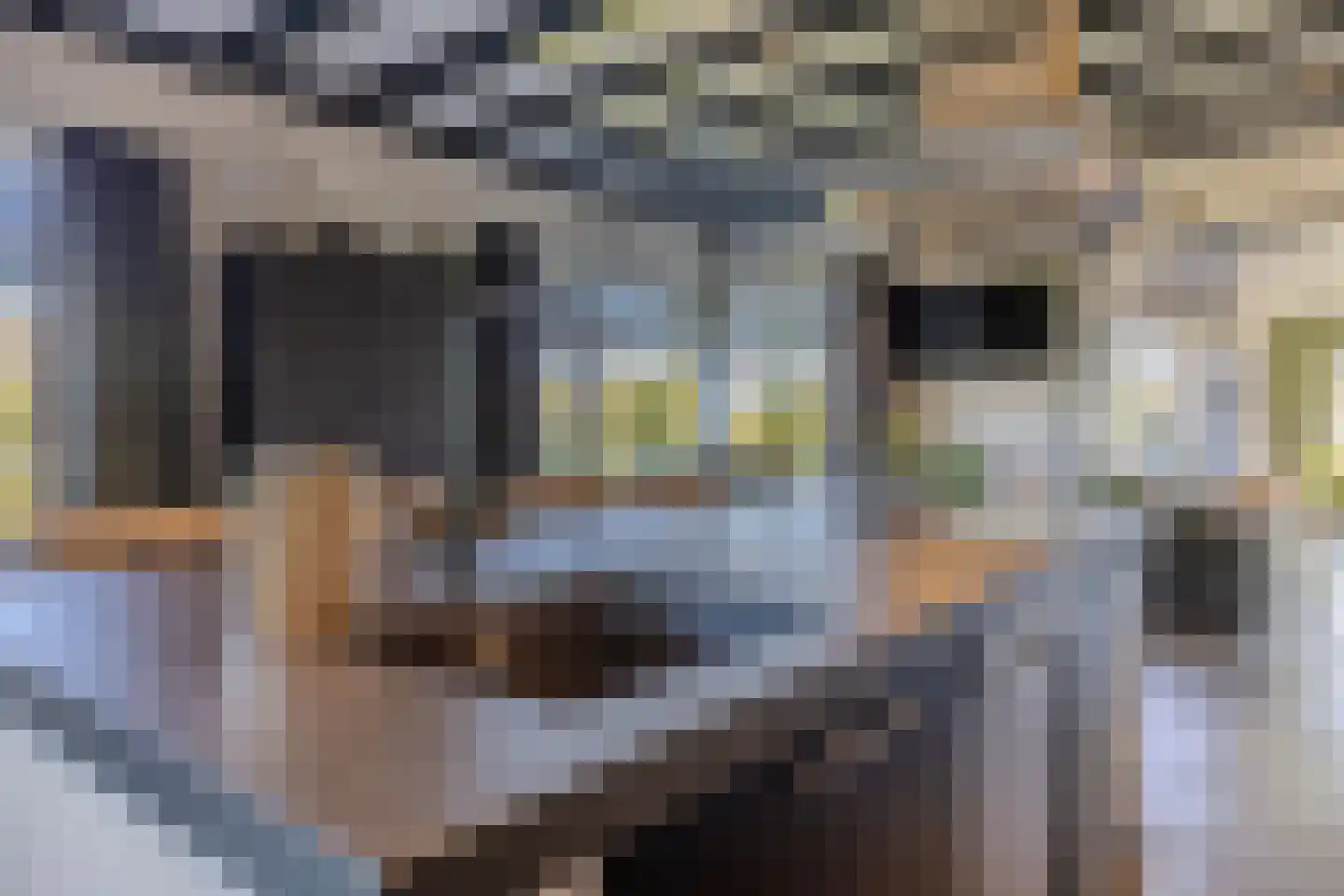 Uithuizerweg 17 Uithuizermeeden thumbnail 32