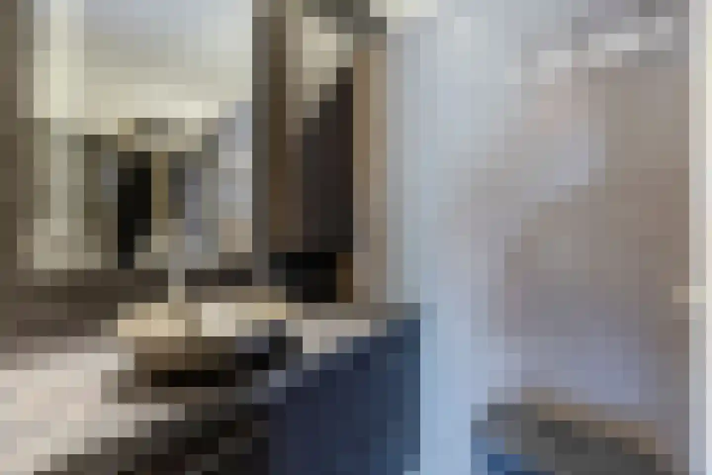 Uithuizerweg 17 Uithuizermeeden thumbnail 39
