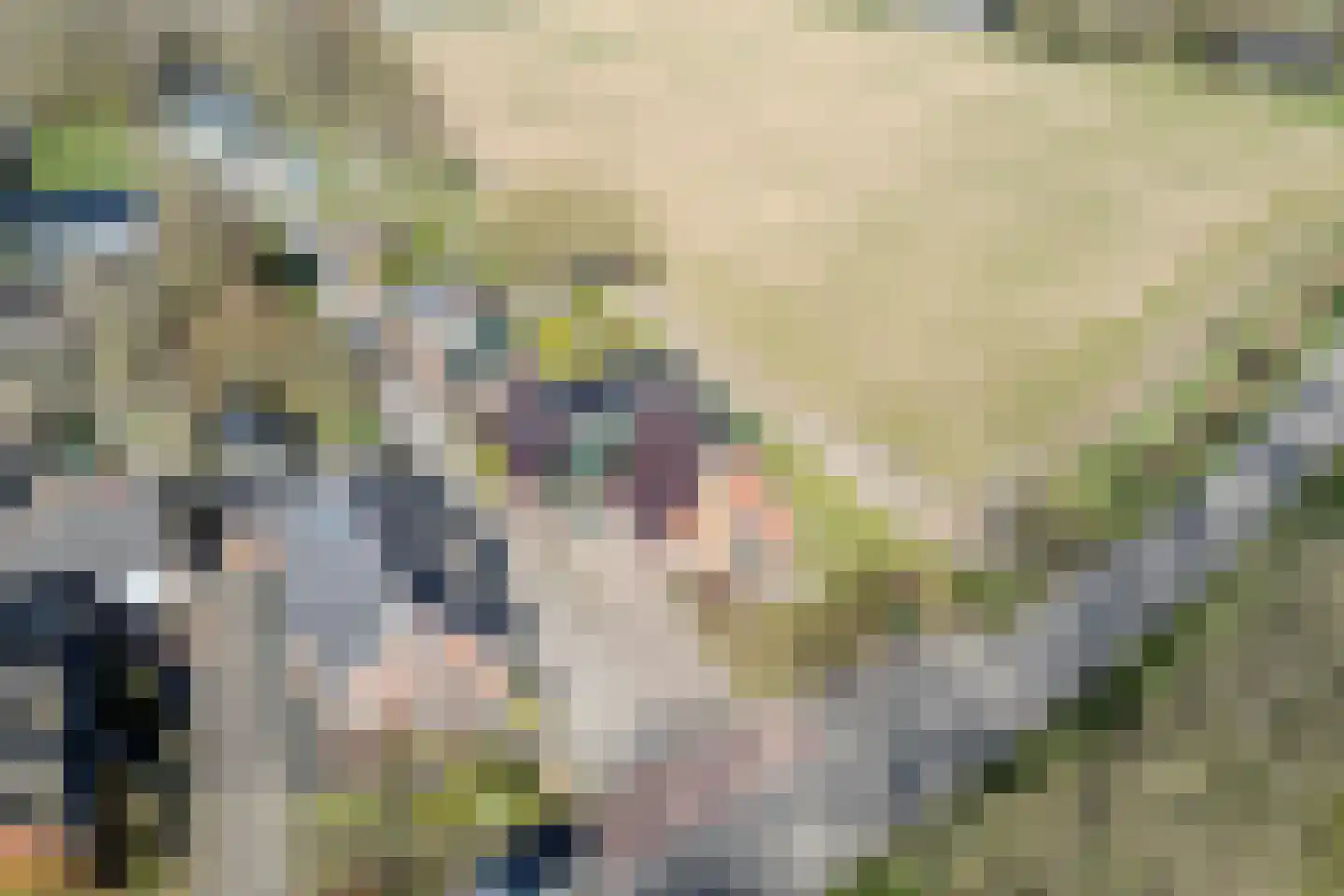 Uithuizerweg 17 Uithuizermeeden thumbnail 4