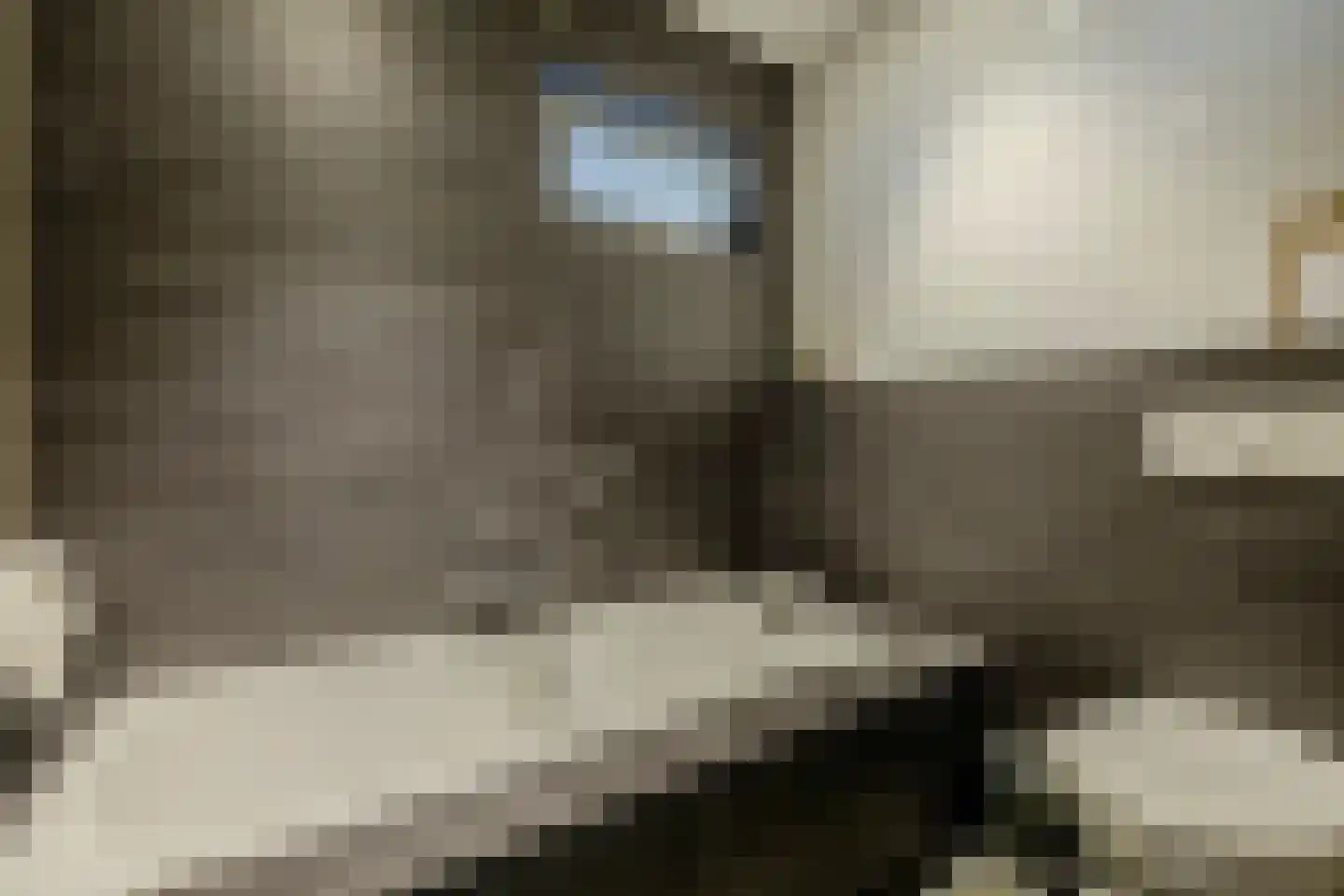 Uithuizerweg 17 Uithuizermeeden thumbnail 41