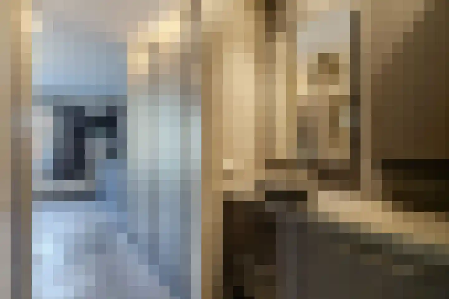 Uithuizerweg 17 Uithuizermeeden thumbnail 45