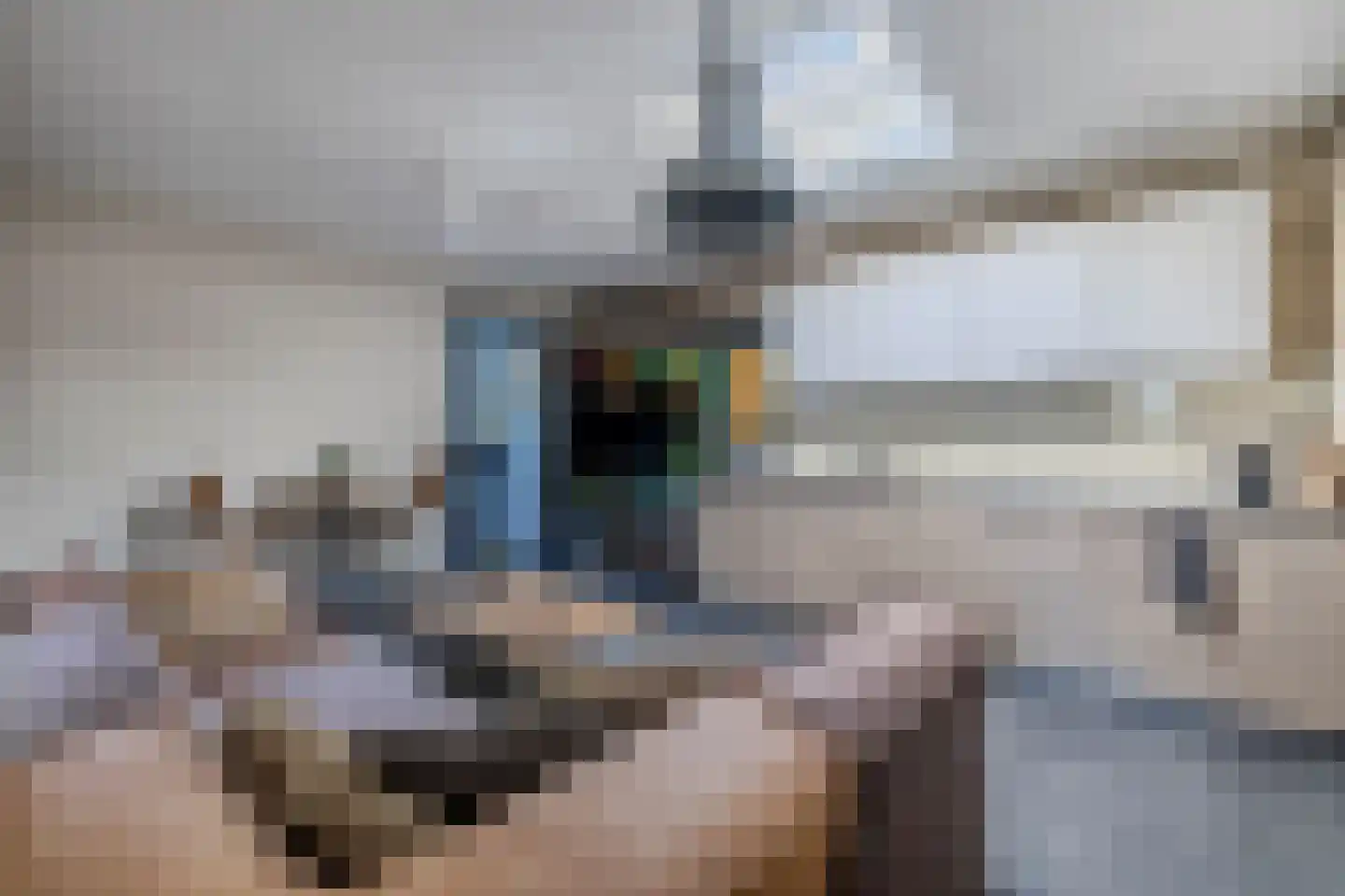 Uithuizerweg 17 Uithuizermeeden thumbnail 48