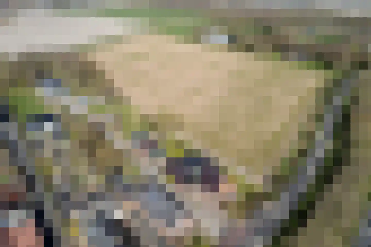 Uithuizerweg 17 Uithuizermeeden thumbnail 5