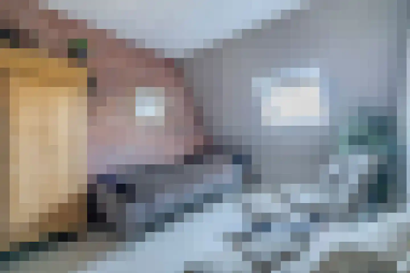 Uithuizerweg 17 Uithuizermeeden thumbnail 51