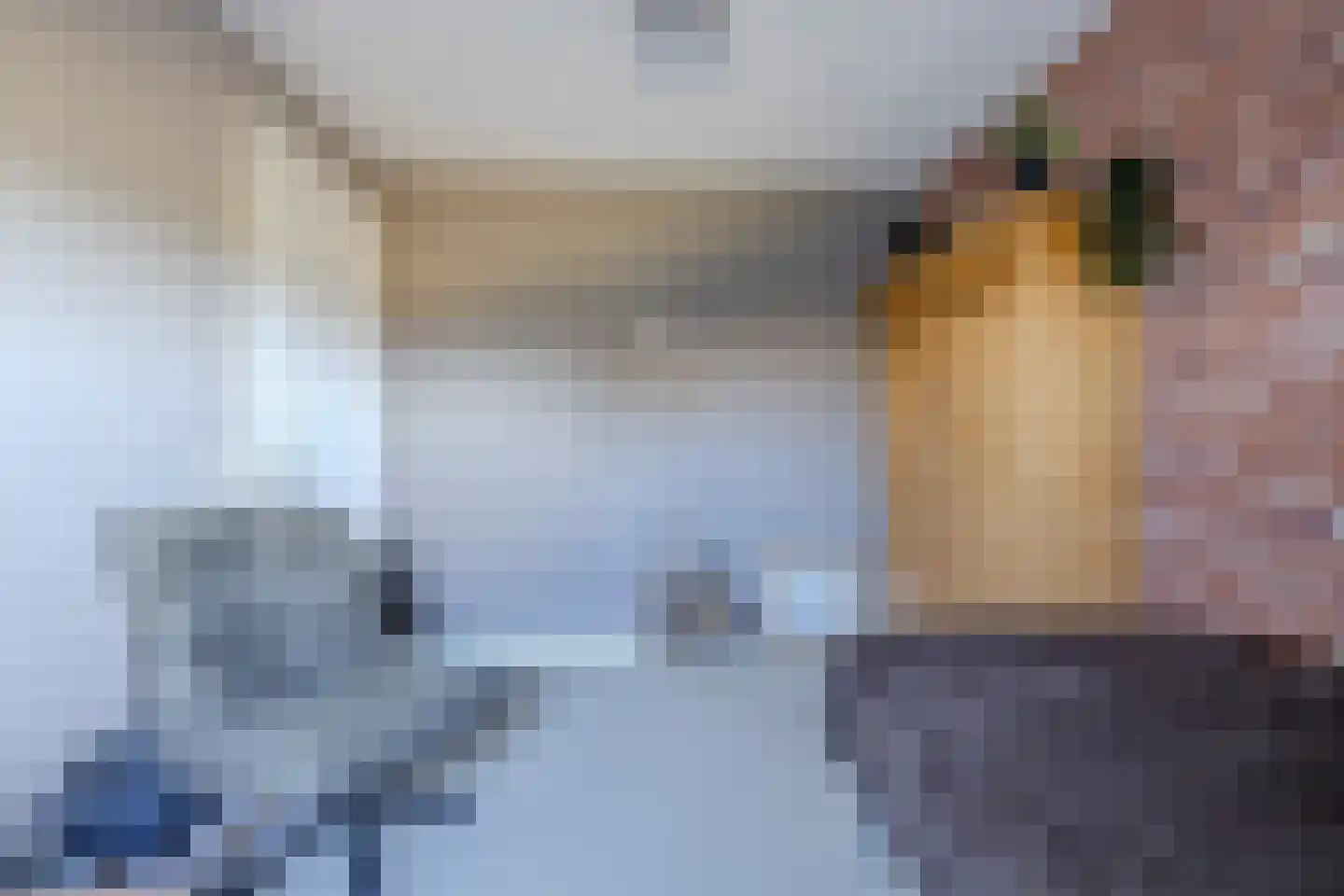Uithuizerweg 17 Uithuizermeeden thumbnail 52