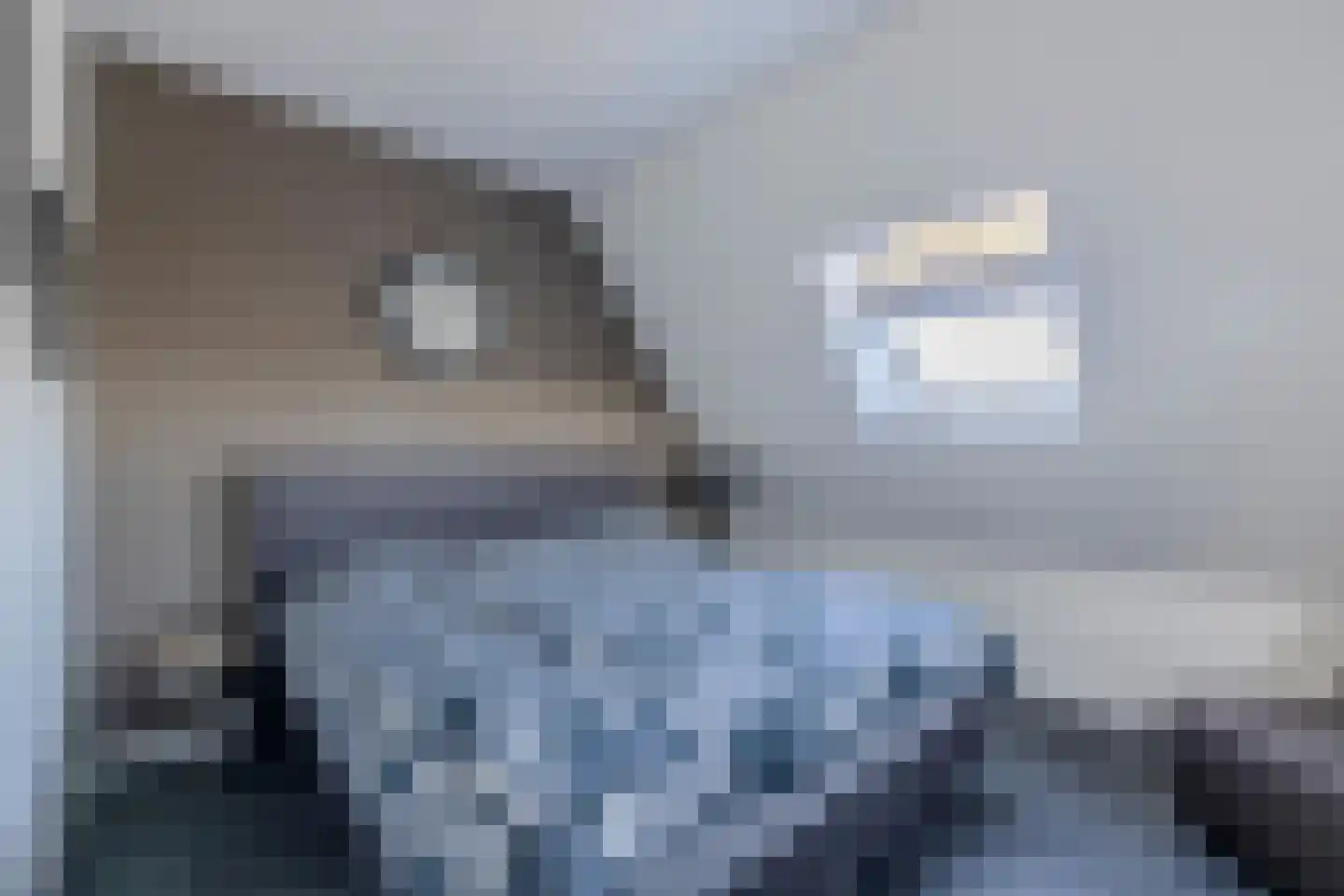 Uithuizerweg 17 Uithuizermeeden thumbnail 53