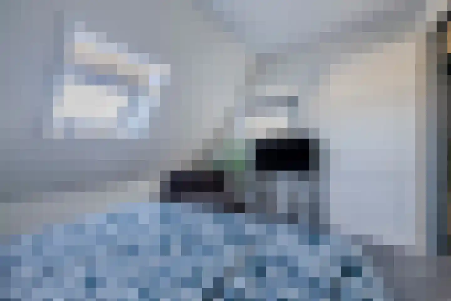 Uithuizerweg 17 Uithuizermeeden thumbnail 54