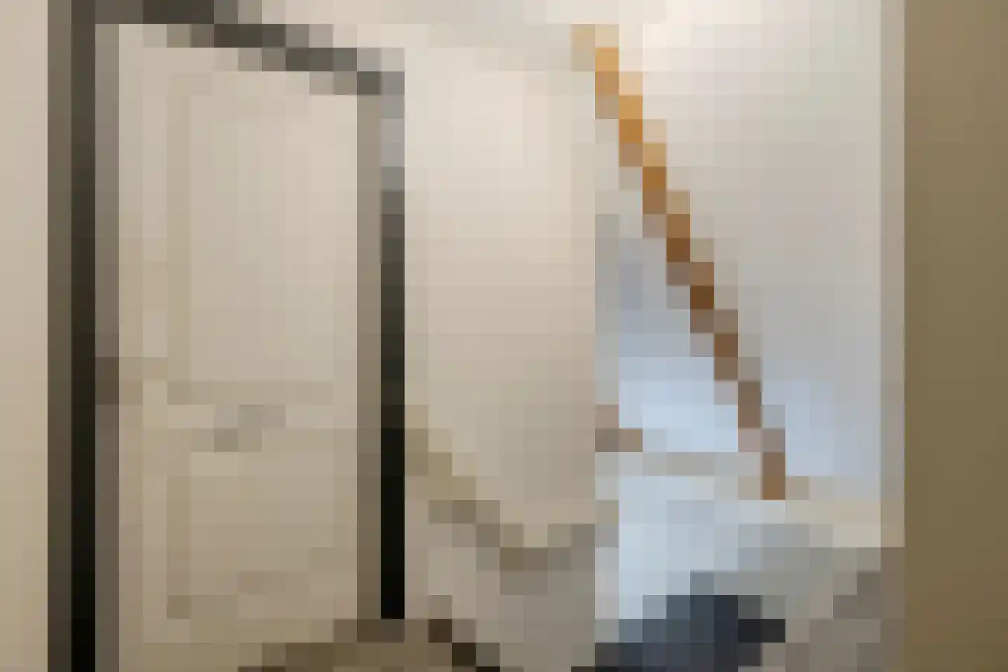 Uithuizerweg 17 Uithuizermeeden thumbnail 58