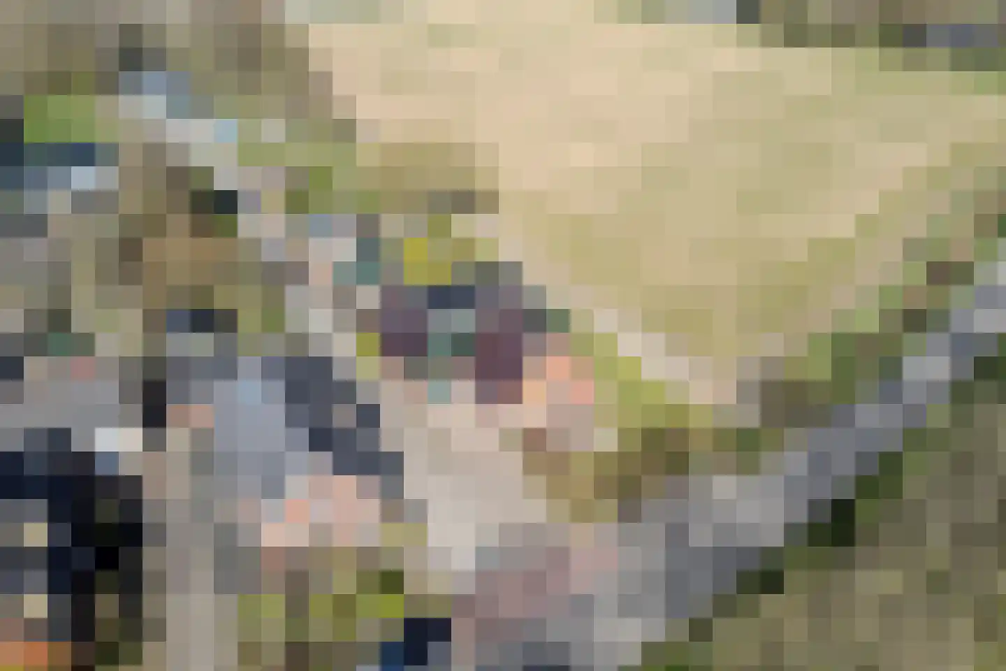 Uithuizerweg 17 Uithuizermeeden thumbnail 6