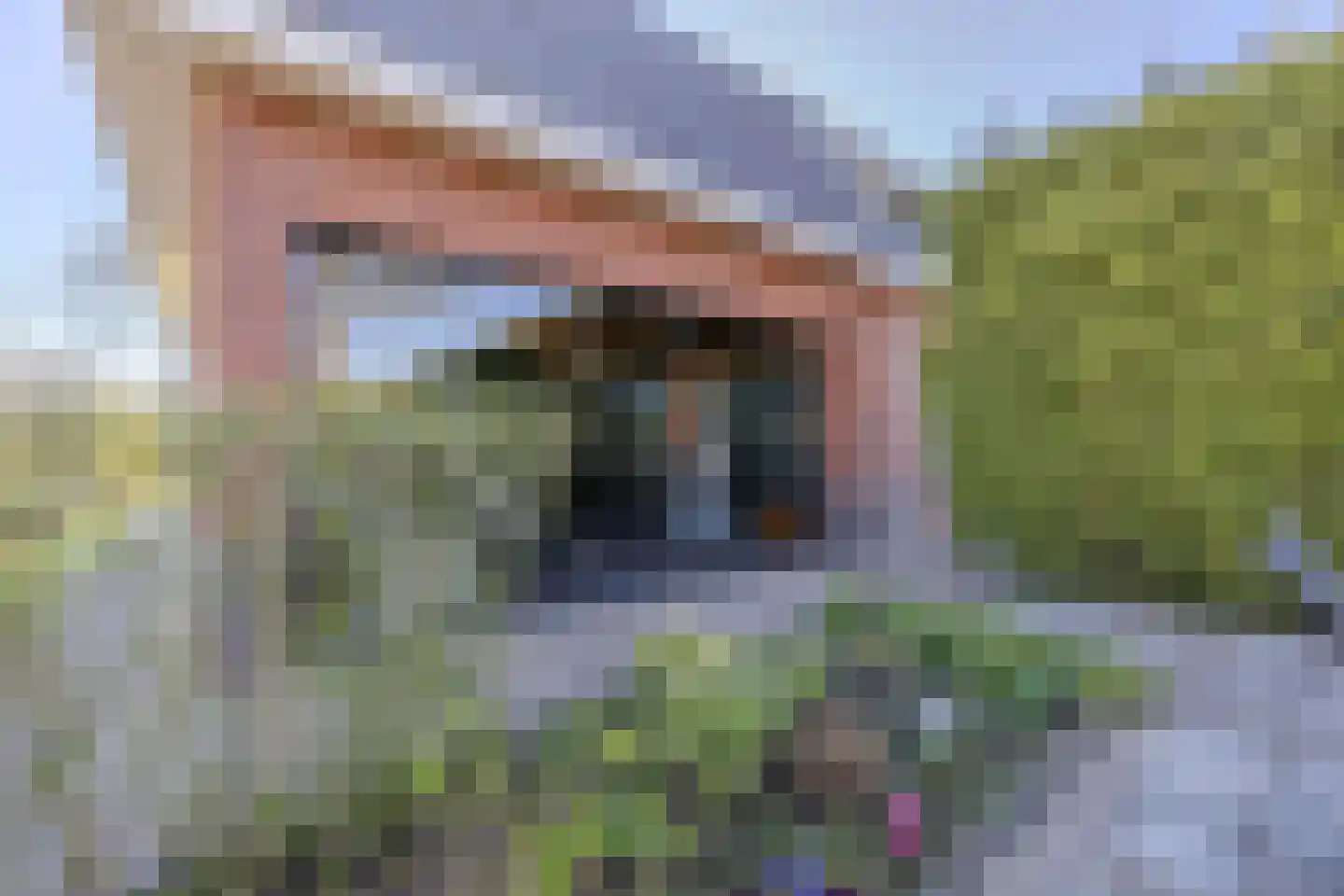 Uithuizerweg 17 Uithuizermeeden thumbnail 76