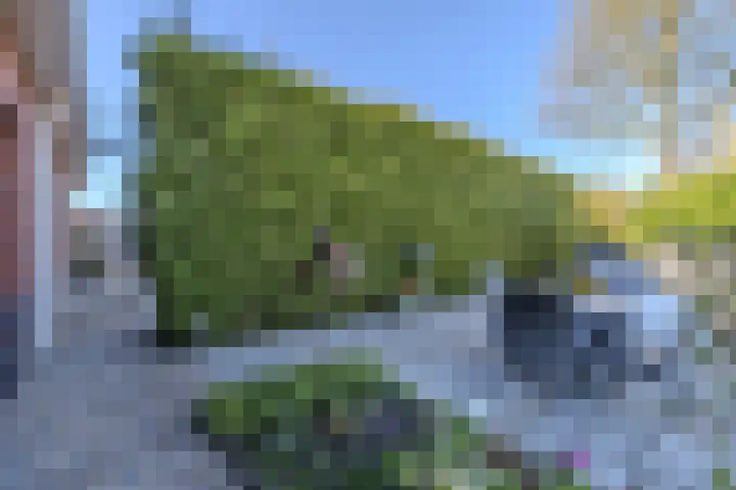 Uithuizerweg 17 Uithuizermeeden thumbnail 84