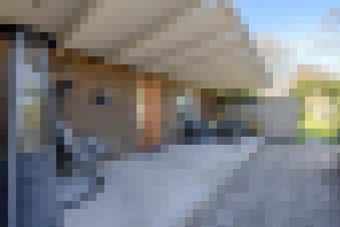 Uithuizerweg 17 Uithuizermeeden thumbnail 91