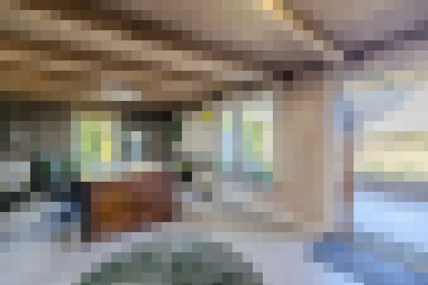 Uithuizerweg 17 Uithuizermeeden thumbnail 92