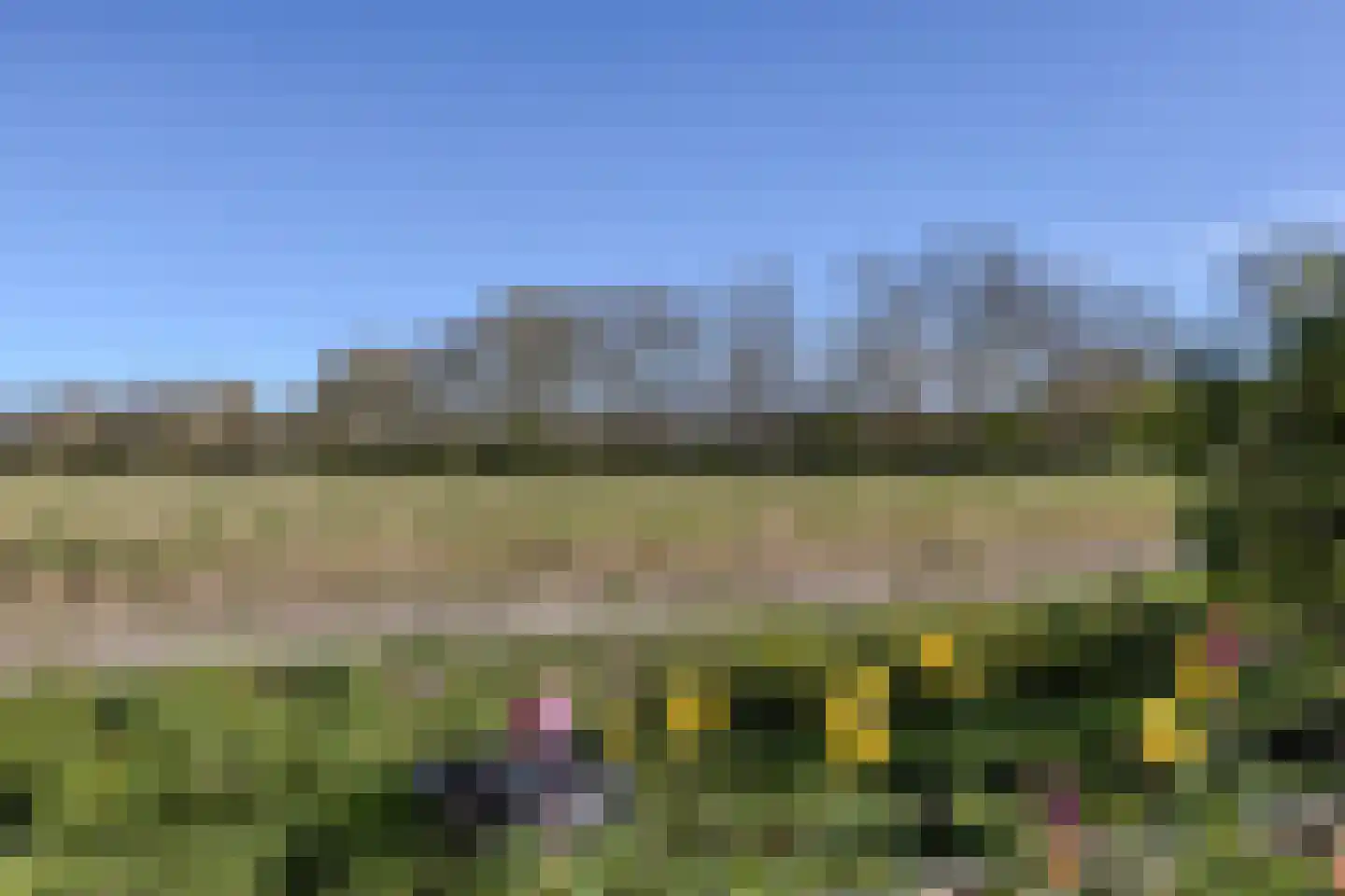 Uithuizerweg 17 Uithuizermeeden thumbnail 96