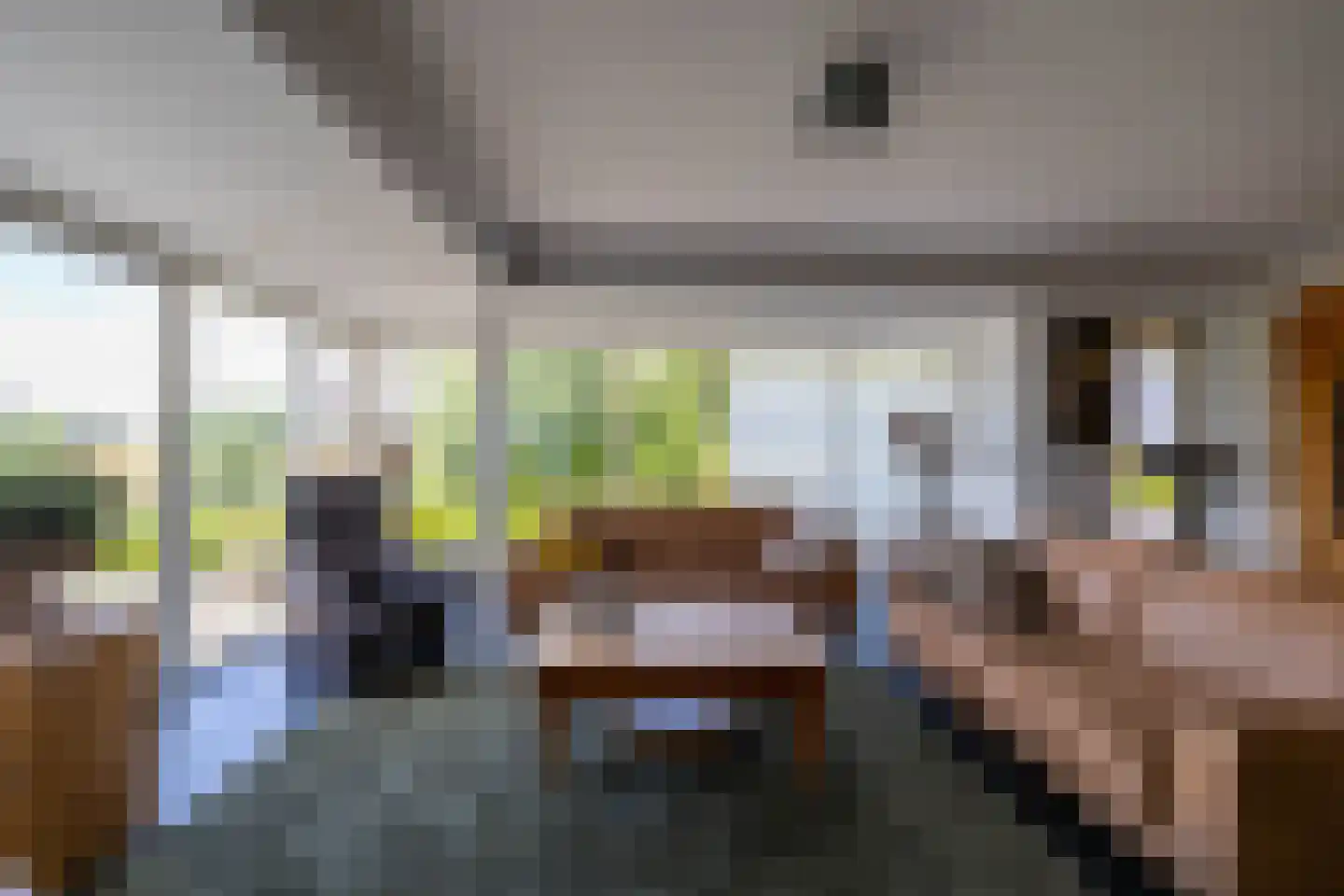 Uithuizerweg 19 Uithuizermeeden thumbnail 18