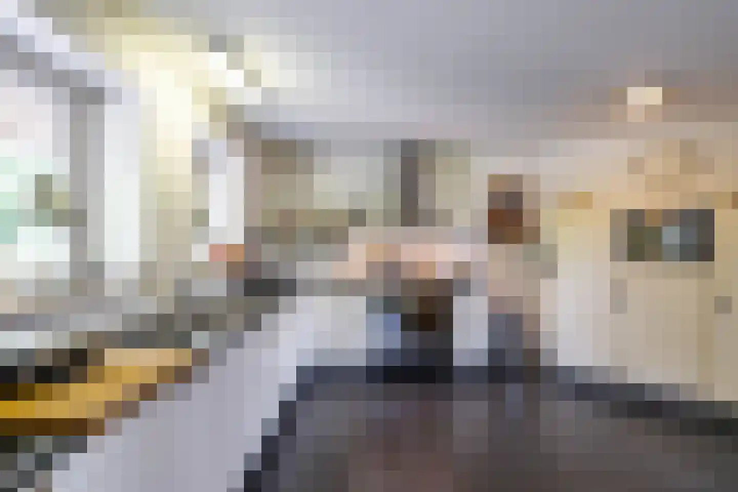 Uithuizerweg 19 Uithuizermeeden thumbnail 22