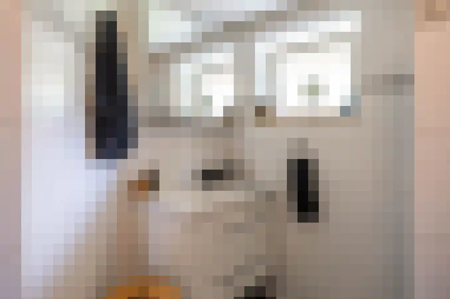 Uithuizerweg 19 Uithuizermeeden thumbnail 26