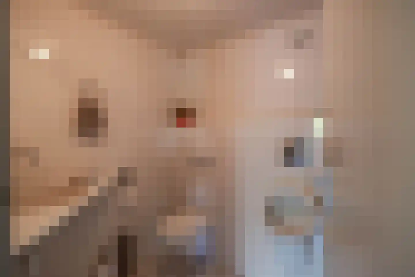 Uithuizerweg 19 Uithuizermeeden thumbnail 32
