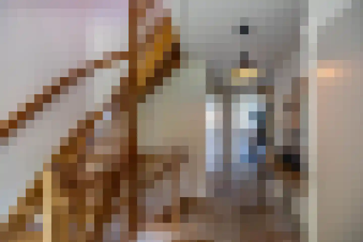 Uithuizerweg 19 Uithuizermeeden thumbnail 38