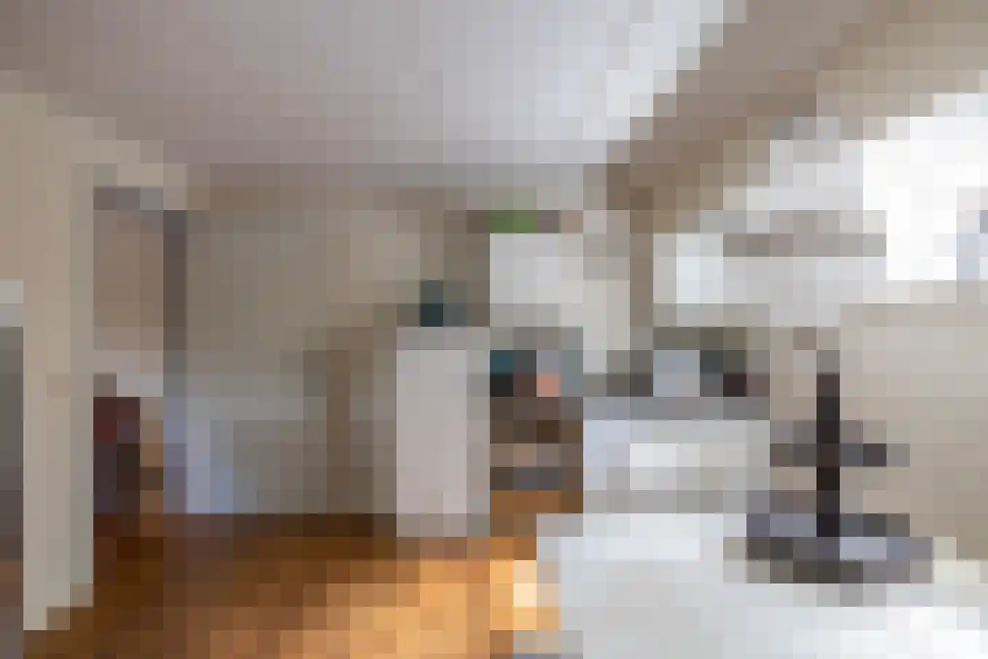 Uithuizerweg 19 Uithuizermeeden thumbnail 40