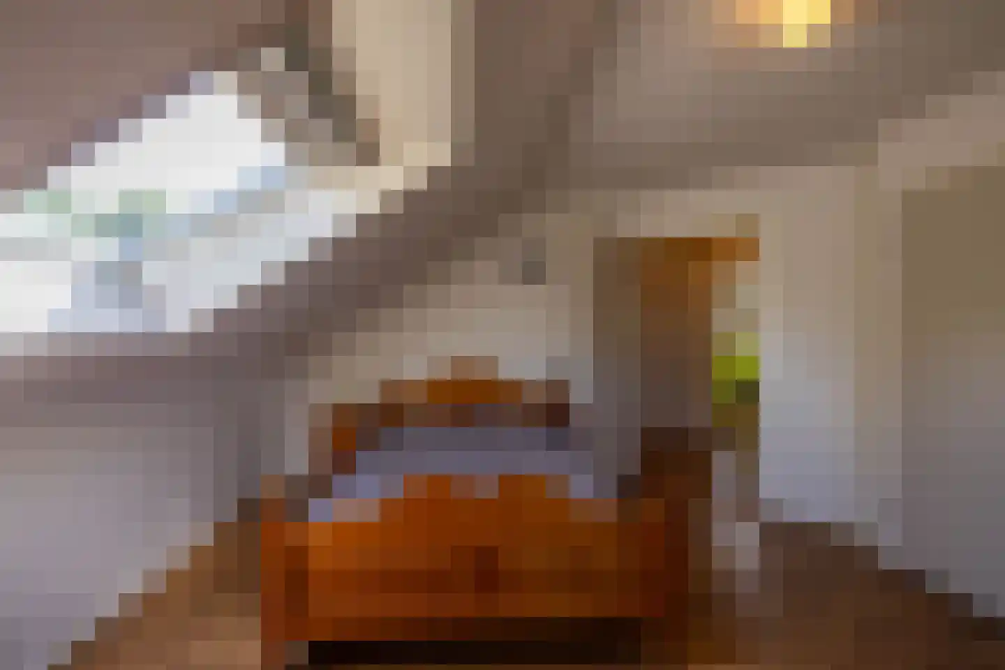 Uithuizerweg 19 Uithuizermeeden thumbnail 44