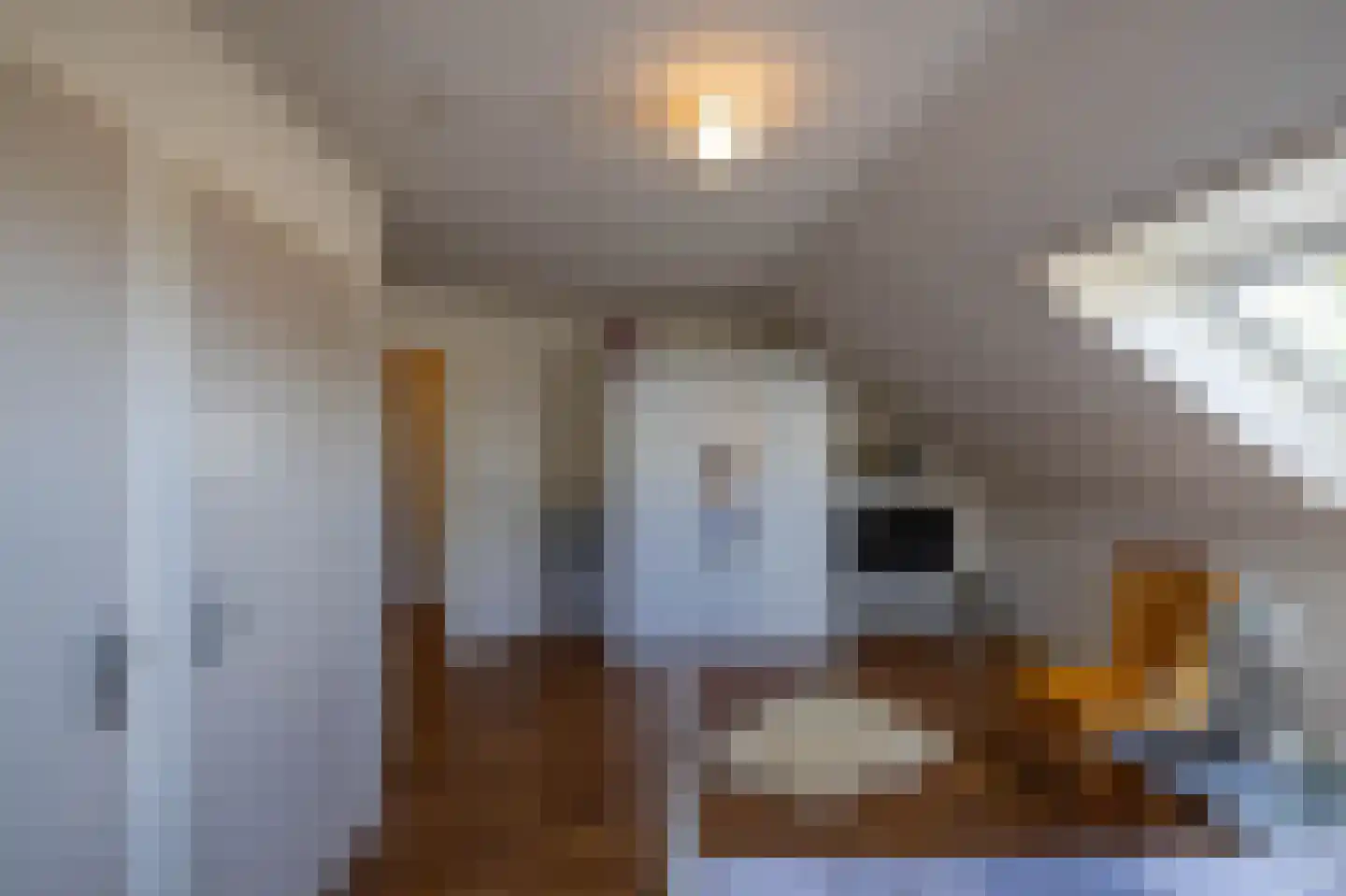 Uithuizerweg 19 Uithuizermeeden thumbnail 46