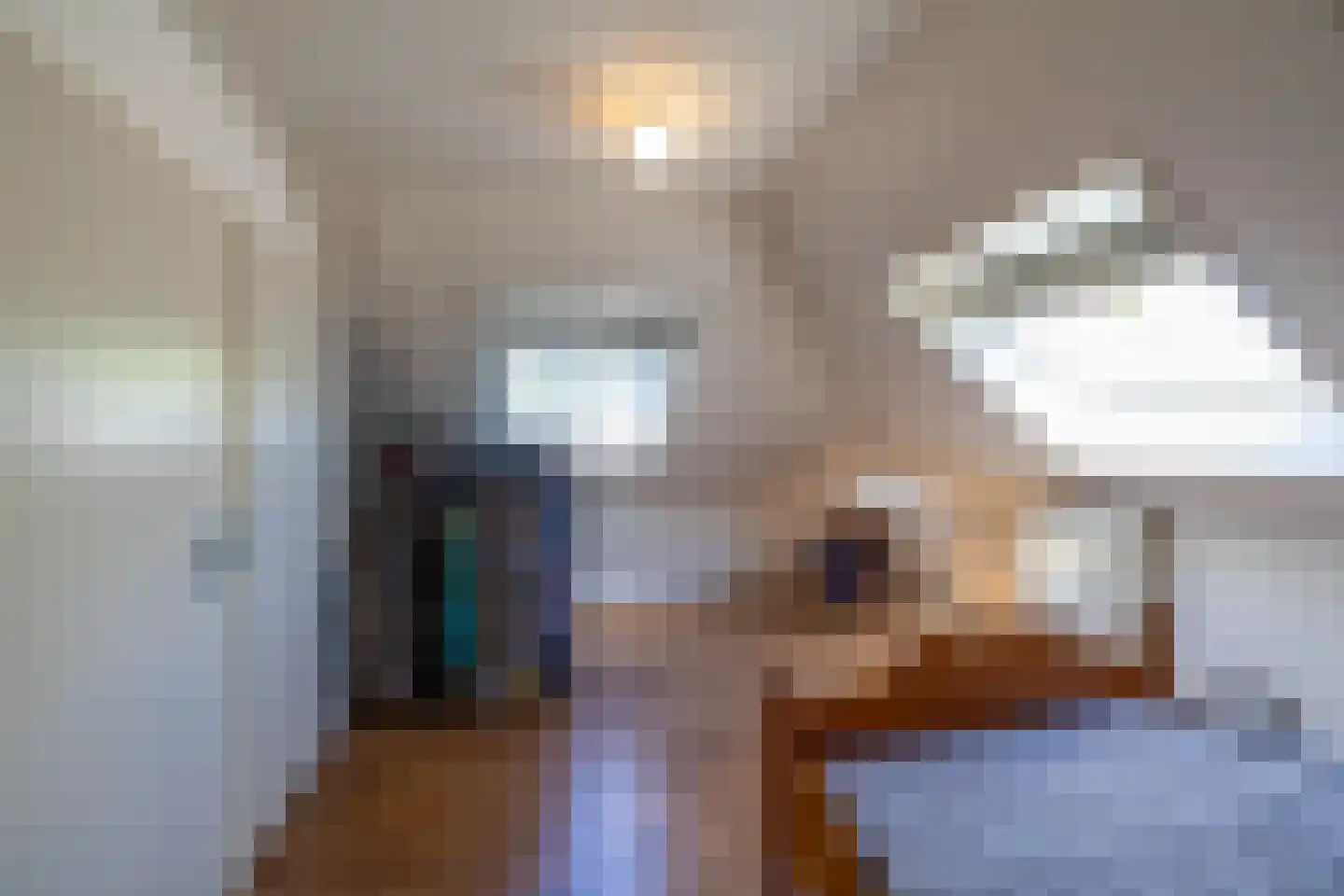 Uithuizerweg 19 Uithuizermeeden thumbnail 47