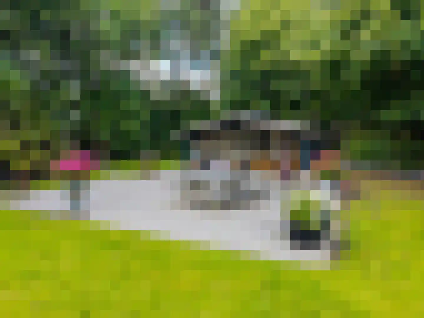 Uithuizerweg 19 Uithuizermeeden thumbnail 5
