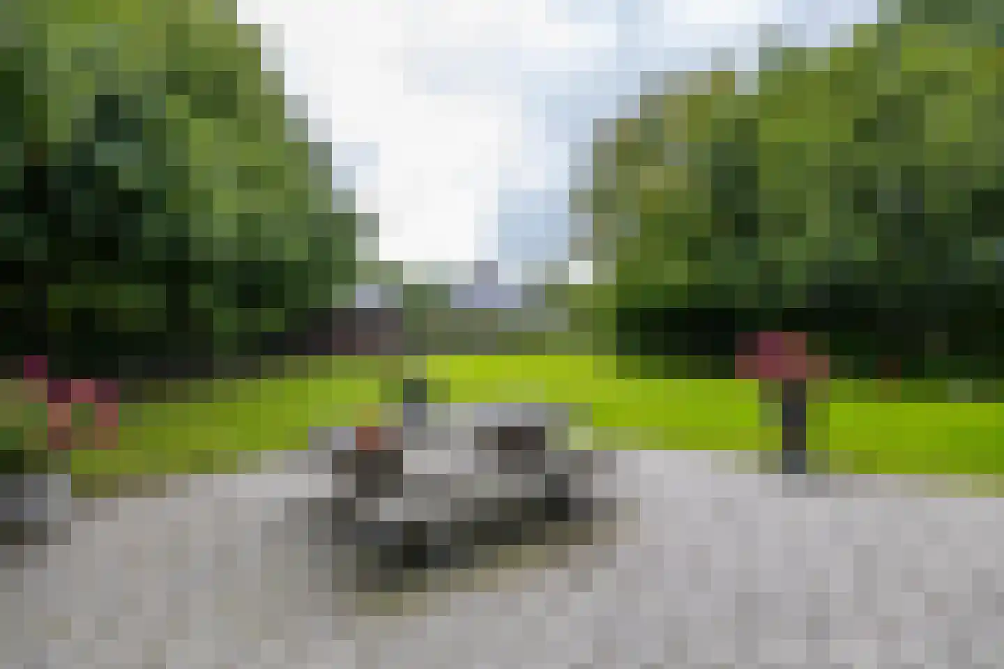 Uithuizerweg 19 Uithuizermeeden thumbnail 51