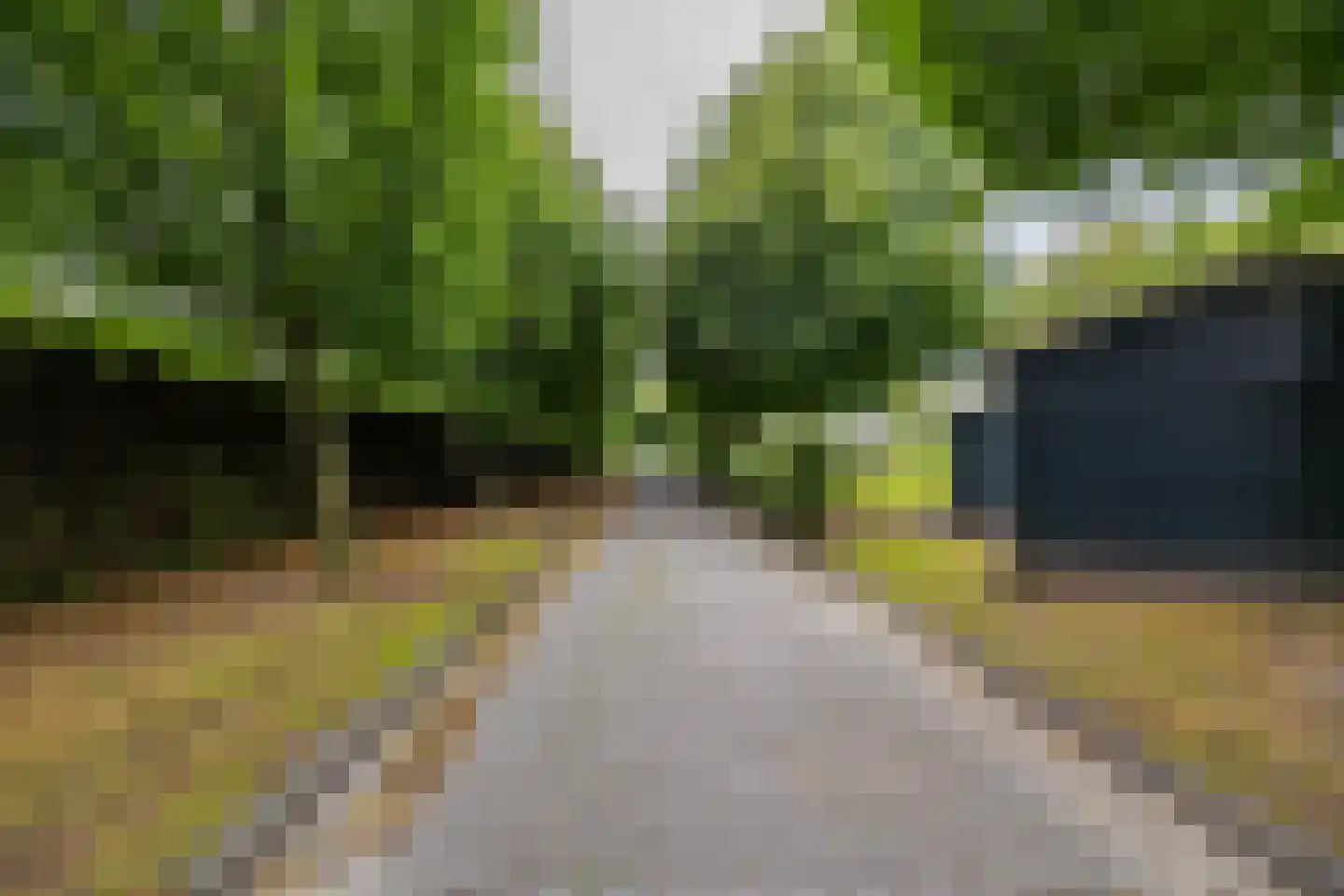 Uithuizerweg 19 Uithuizermeeden thumbnail 60