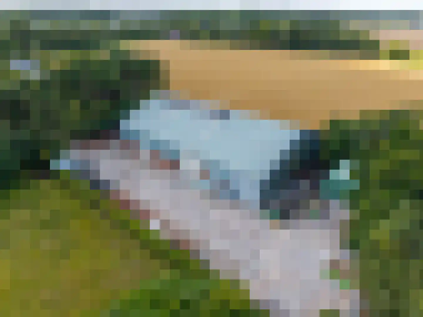 Uithuizerweg 19 Uithuizermeeden thumbnail 67